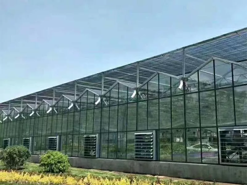 Ciò chì rende Steel Vertical Farm u futuru di l'agricultura sustenibile?