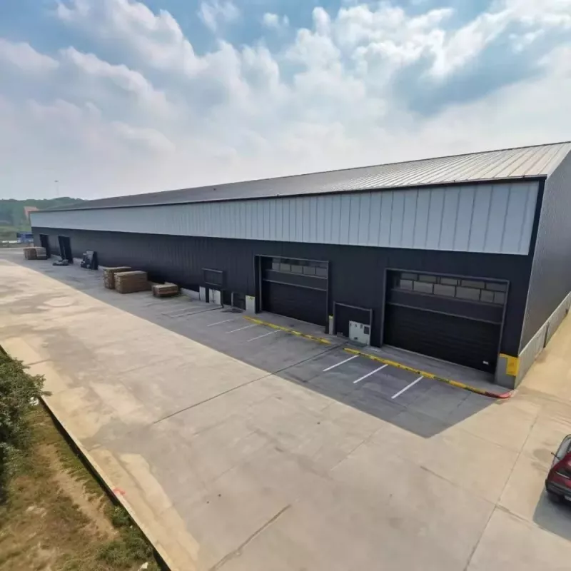 Magazzinu di Strutture d'Acciaio Grande Span