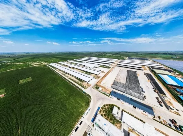 Strutture d'acciaio Impianto di trasfurmazioni alimentari